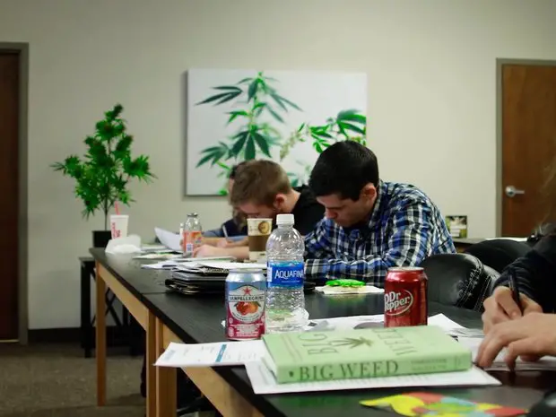 Cleveland Cannabis College opens to educate future Ohio medical marijuana workers.