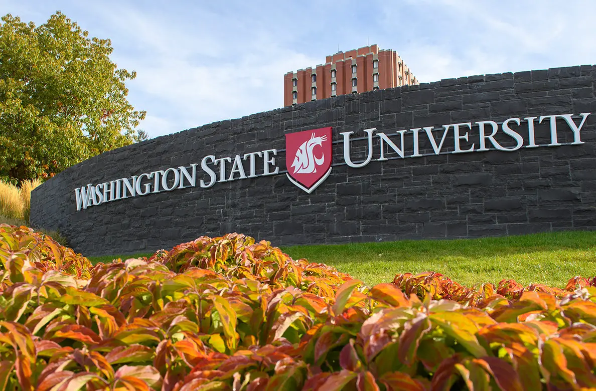 A sign reading 'Washington State University.'