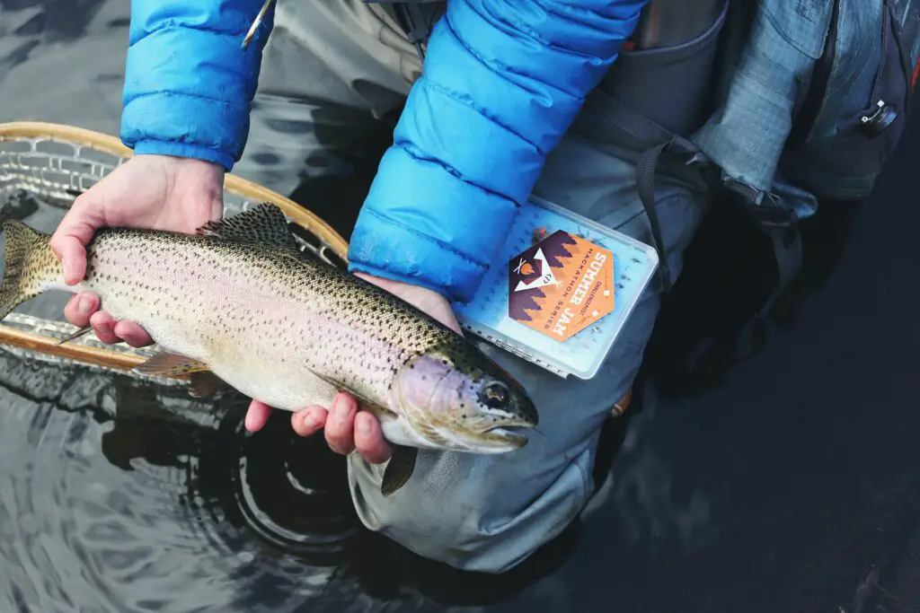 Man holding a gray and silver fish with balck spots