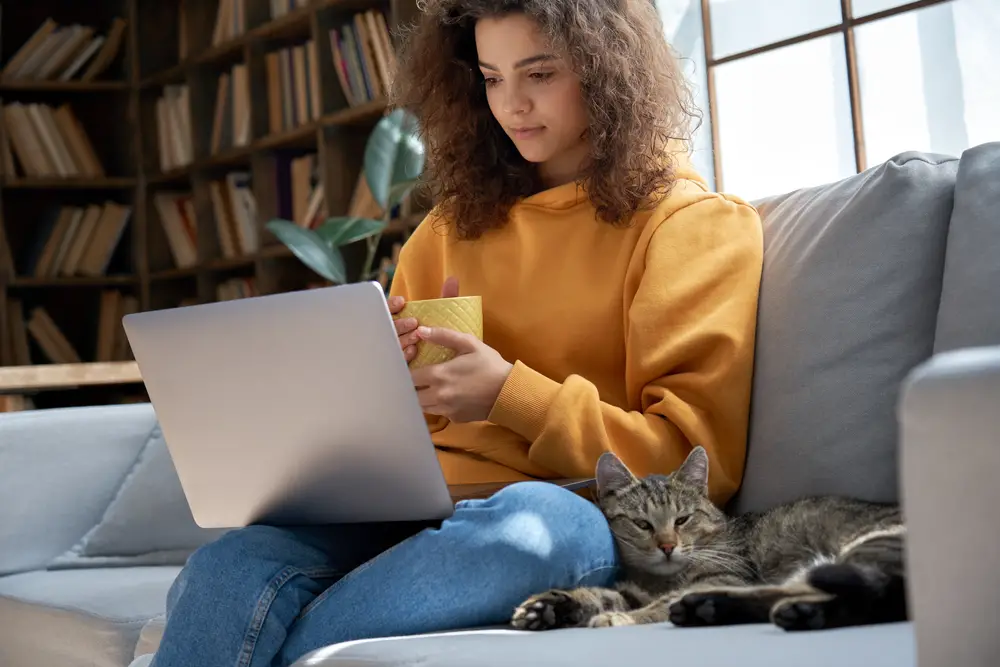 Woman on sofa with her cat looks at her laptop