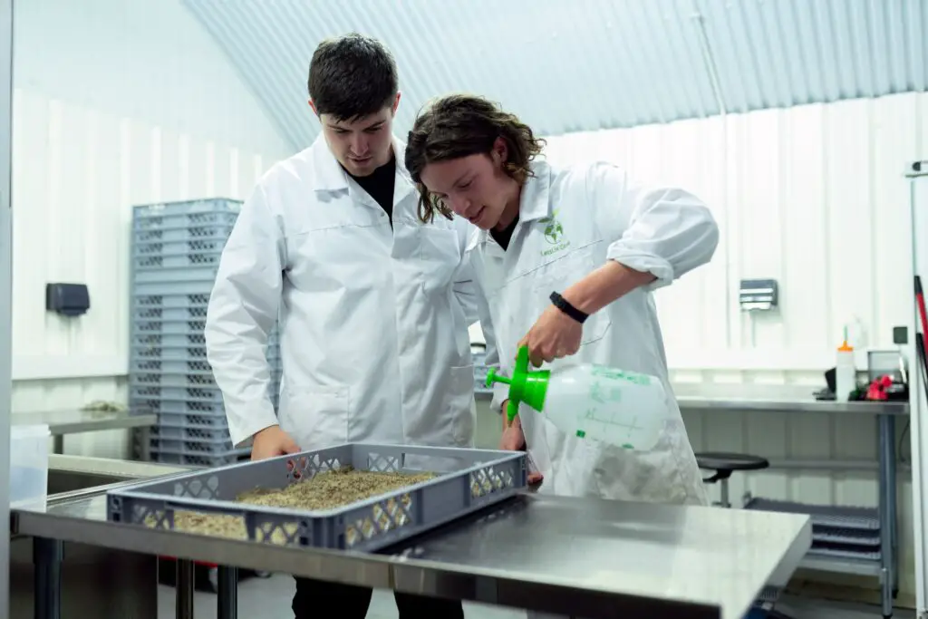 Male engineers spray seeds with nutrients in sustainable indoor farming practices