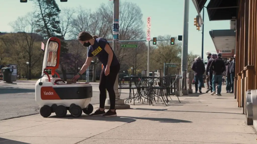 Yandex Robot