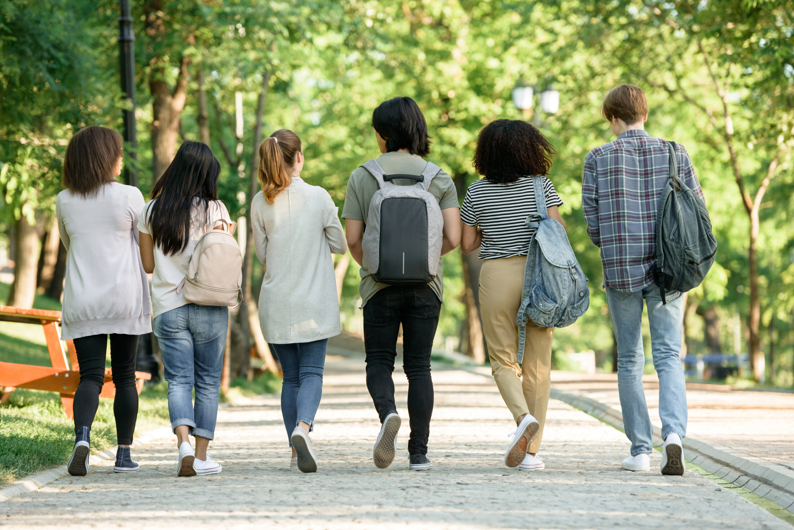 Back view image of multiethnic group of young students walking while talking.