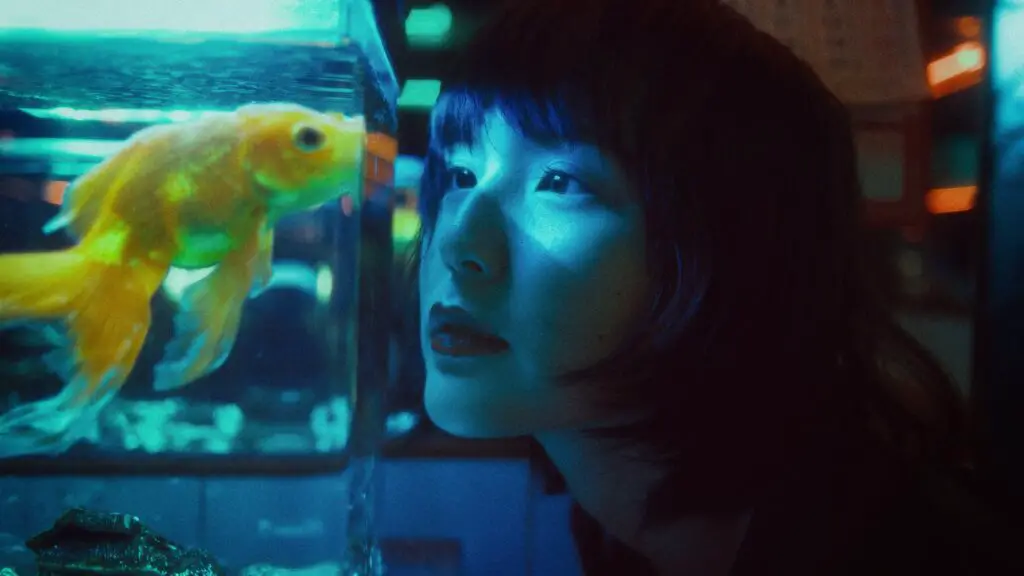 female-college-student-looking-at-fish-in-aquarium