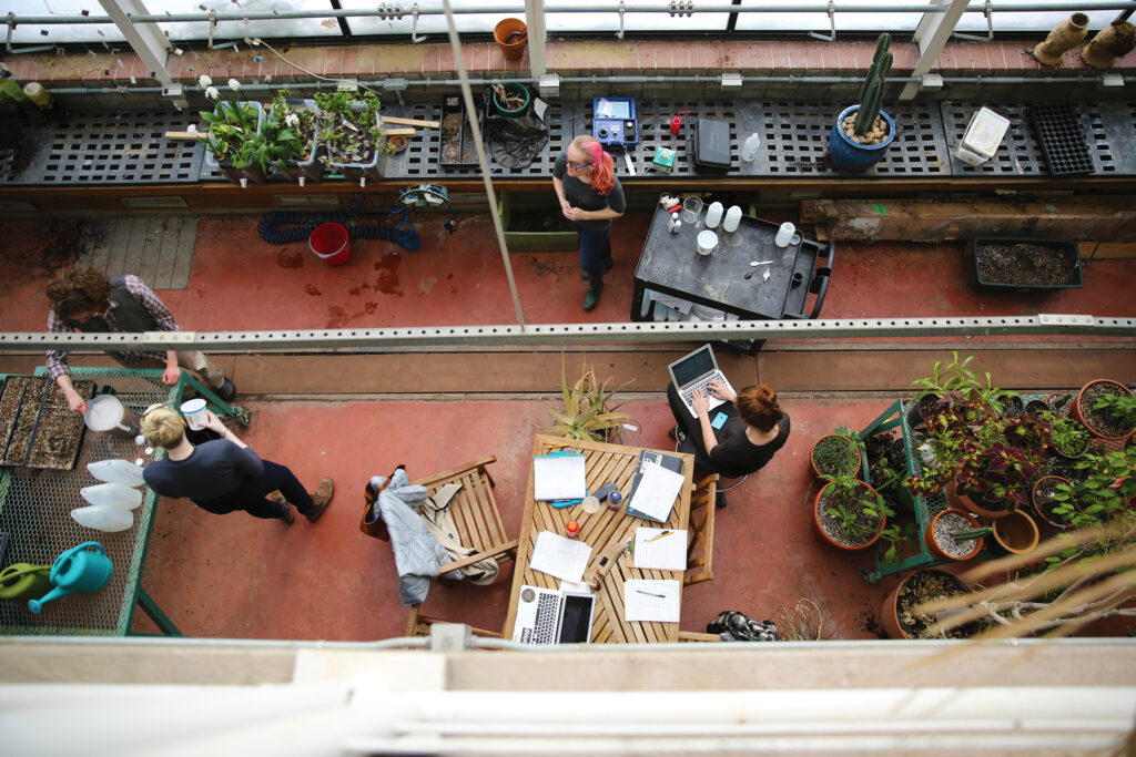 Four Hampshire College students working in a plant biology lab