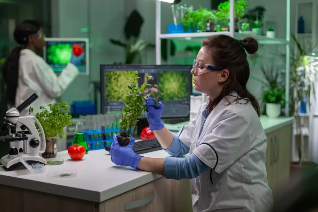 Two female forestry students taking a closer look at plants in the forestry school's research laboratory