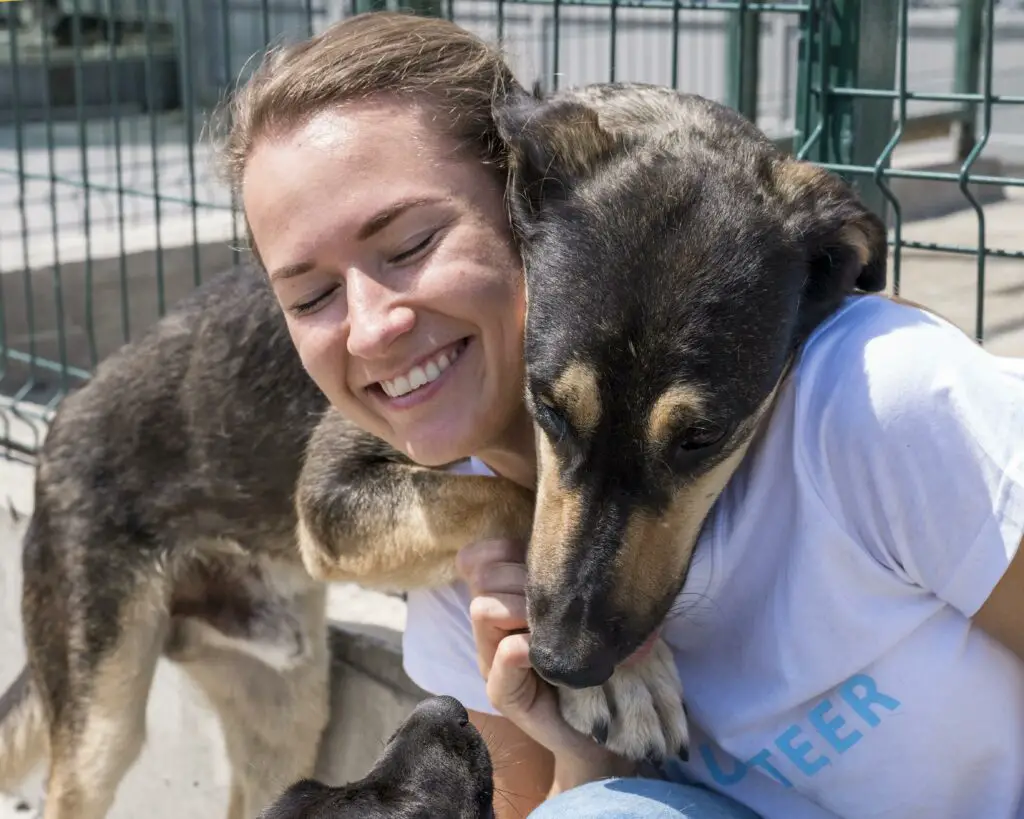 A smiling Caucasian female college student is hugged by a dog as she volunteers at a pet shelter