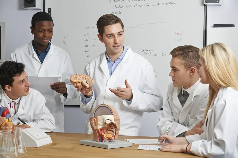 teacher-showing-model-of-brain-to-students-in-biology-class