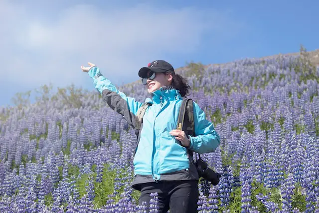 female-college-student-enjoying-the-field-of-lavenders-in-Reykjavik-Iceland-during-study-abroad-program