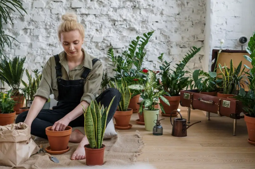 A female college student sitting on the floor surrounded by potted plants